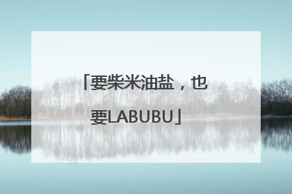 要柴米油盐，也要LABUBU