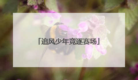 追风少年竞逐赛场
