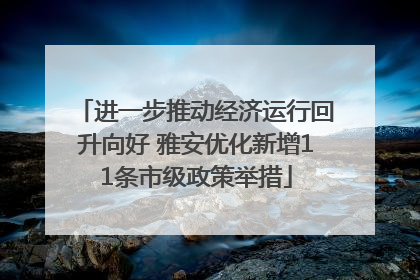 进一步推动经济运行回升向好 雅安优化新增11条市级政策举措