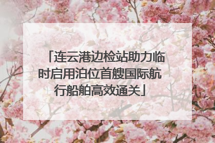 连云港边检站助力临时启用泊位首艘国际航行船舶高效通关