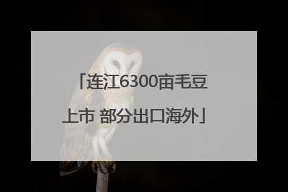 连江6300亩毛豆上市 部分出口海外