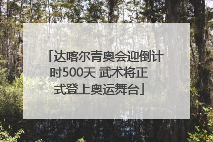 达喀尔青奥会迎倒计时500天 武术将正式登上奥运舞台