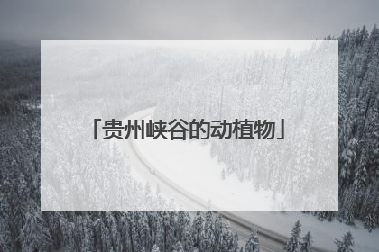 贵州峡谷的动植物
