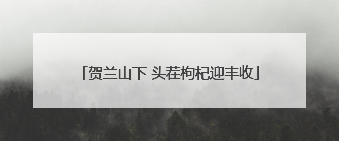 贺兰山下 头茬枸杞迎丰收