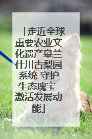 走近全球重要农业文化遗产皋兰什川古梨园系统 守护生态瑰宝 激活发展动能