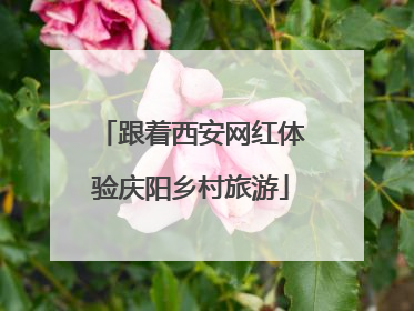 跟着西安网红体验庆阳乡村旅游