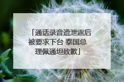 通话录音遭泄露后被要求下台 泰国总理佩通坦致歉