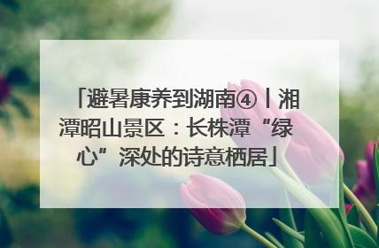 避暑康养到湖南④丨湘潭昭山景区：长株潭“绿心”深处的诗意栖居