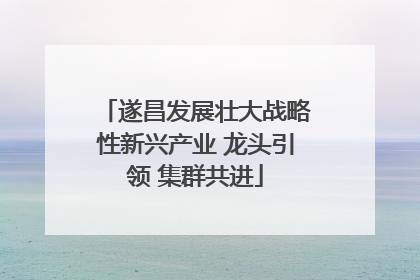 遂昌发展壮大战略性新兴产业 龙头引领 集群共进