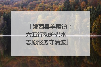 郧西县羊尾镇：六五行动护碧水 志愿服务守清波