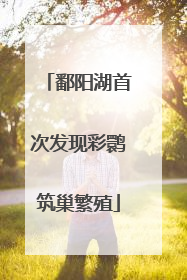 鄱阳湖首次发现彩鹮筑巢繁殖