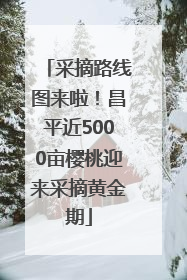 采摘路线图来啦！昌平近5000亩樱桃迎来采摘黄金期