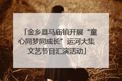 金乡县马庙镇开展“童心同梦同成长”运河大集文艺节目汇演活动