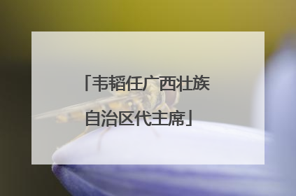 韦韬任广西壮族自治区代主席