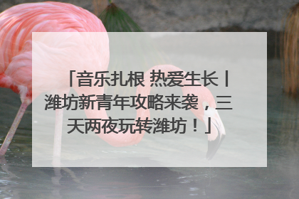 音乐扎根 热爱生长丨潍坊新青年攻略来袭，三天两夜玩转潍坊！