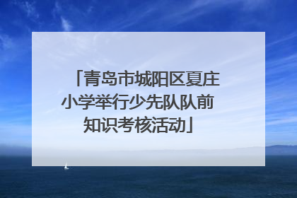 青岛市城阳区夏庄小学举行少先队队前知识考核活动
