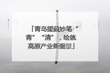 青岛援藏妙笔“青”“清”，绘就高原产业新图景