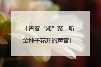 青春“湘”聚，听金种子花开的声音