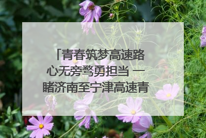 青春筑梦高速路 心无旁骛勇担当 一睹济南至宁津高速青年的young子