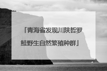 青海省发现川陕哲罗鲑野生自然繁殖种群