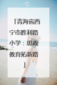 青海省西宁市胜利路小学：思政教育拓新路
