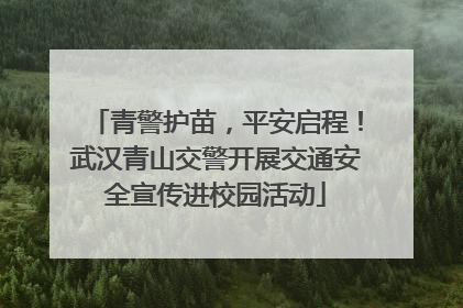 青警护苗，平安启程！武汉青山交警开展交通安全宣传进校园活动