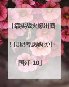 靠实战火爆出圈！印尼考虑购买中国歼-10