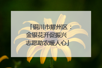 铜川市耀州区：金银花开促振兴 志愿助农暖人心