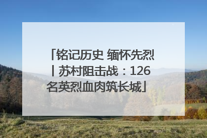 铭记历史 缅怀先烈丨苏村阻击战：126名英烈血肉筑长城