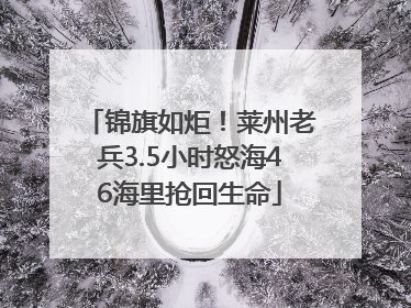 锦旗如炬！莱州老兵3.5小时怒海46海里抢回生命