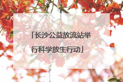 长沙公益放流站举行科学放生行动