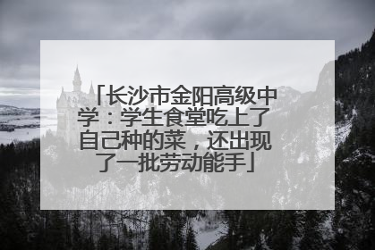 长沙市金阳高级中学：学生食堂吃上了自己种的菜，还出现了一批劳动能手