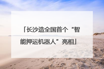长沙造全国首个“智能押运机器人”亮相