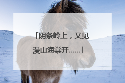 阴条岭上，又见漫山海棠开……