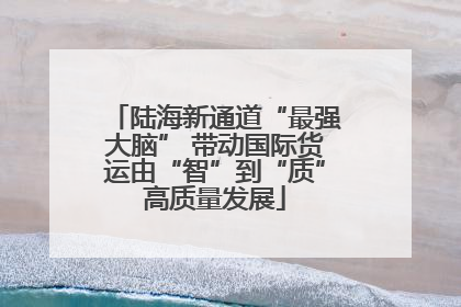 陆海新通道“最强大脑” 带动国际货运由“智”到“质”高质量发展