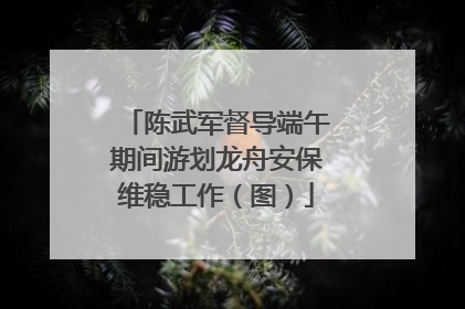 陈武军督导端午期间游划龙舟安保维稳工作（图）