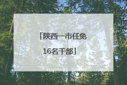 陕西一市任免16名干部