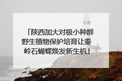 陕西加大对极小种群野生植物保护培育让秦岭石蝴蝶焕发新生机