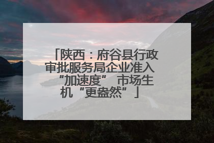 陕西：府谷县行政审批服务局企业准入“加速度” 市场生机“更盎然”