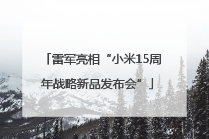 雷军亮相“小米15周年战略新品发布会”