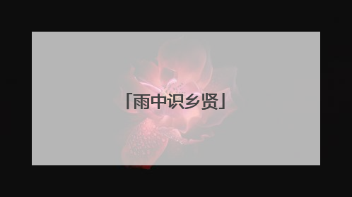 雨中识乡贤