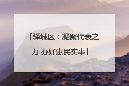 驿城区：凝聚代表之力 办好惠民实事