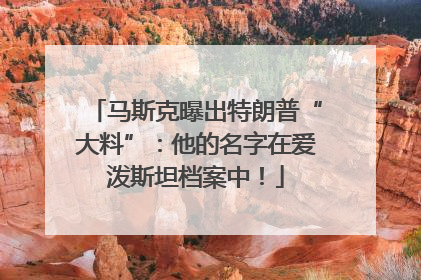 马斯克曝出特朗普“大料”：他的名字在爱泼斯坦档案中！