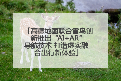 高德地图联合雷鸟创新推出“AI+AR”导航技术 打造虚实融合出行新体验