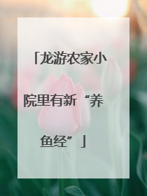 龙游农家小院里有新“养鱼经”