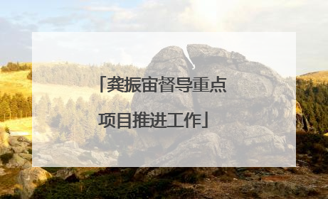 龚振宙督导重点项目推进工作