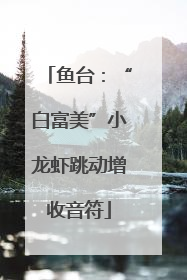 鱼台：“白富美”小龙虾跳动增收音符