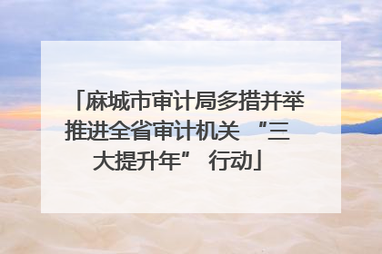 麻城市审计局多措并举推进全省审计机关 “三大提升年” 行动