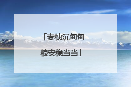 麦穗沉甸甸 粮安稳当当
