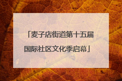 麦子店街道第十五届国际社区文化季启幕